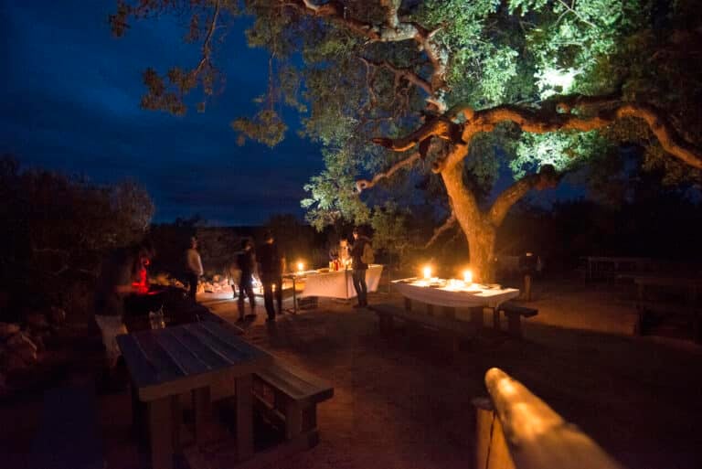5 Day Kruger Park Treehouse Safari